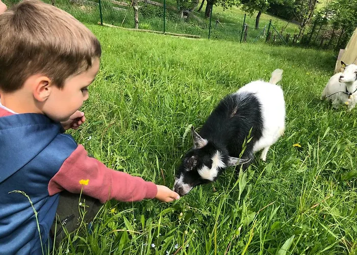 & Wachterhof Kaltenbach